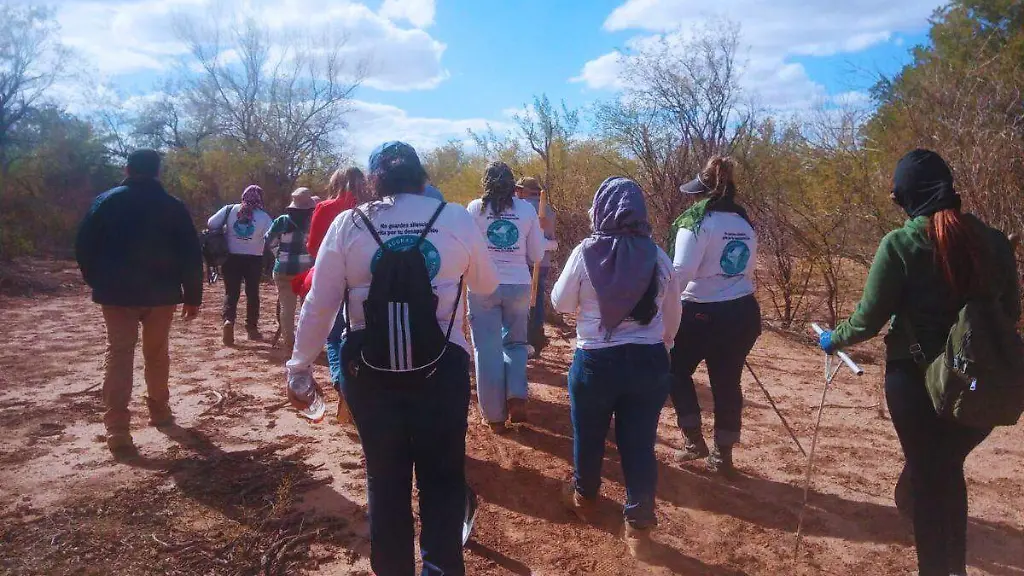Colectivo Buscadoras por la Paz