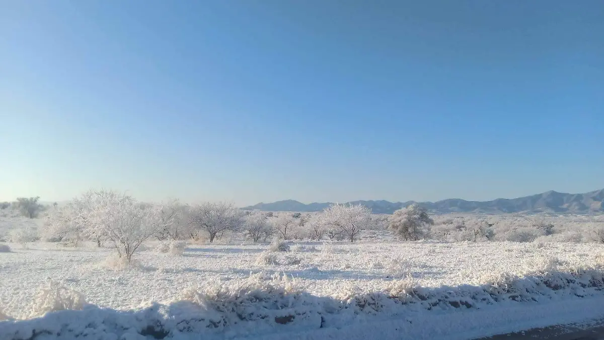 Nevadas baja temperatura