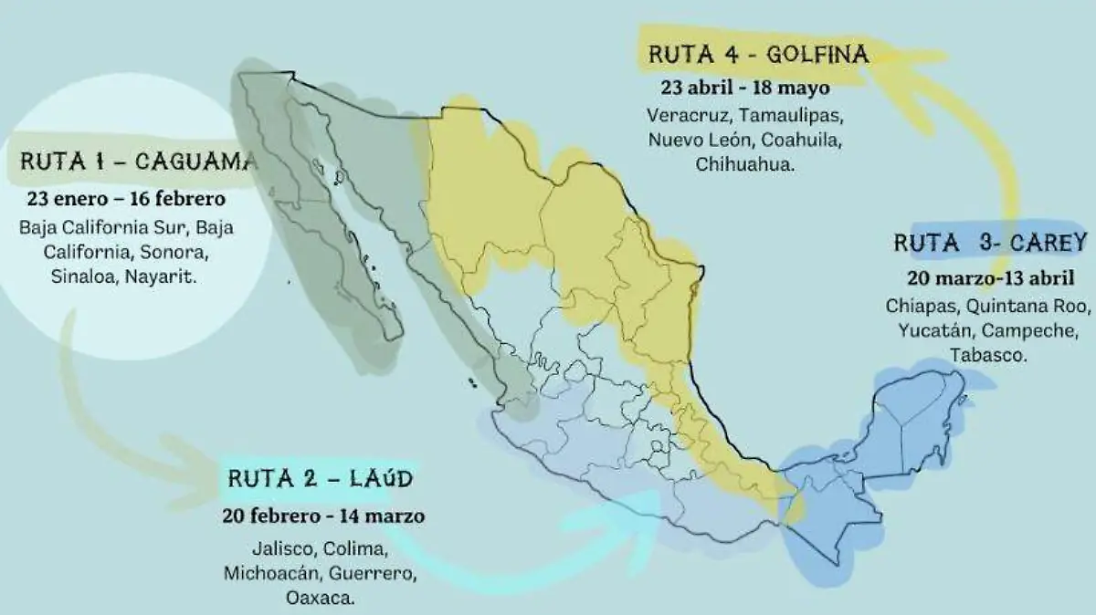 El llanto de las tortugas en la Unison