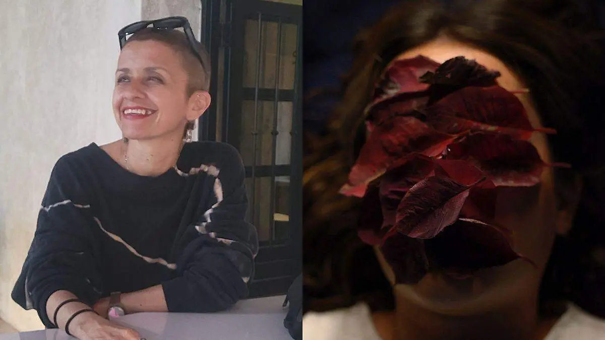 Diseño sin título - 2025-02-22T192354.545