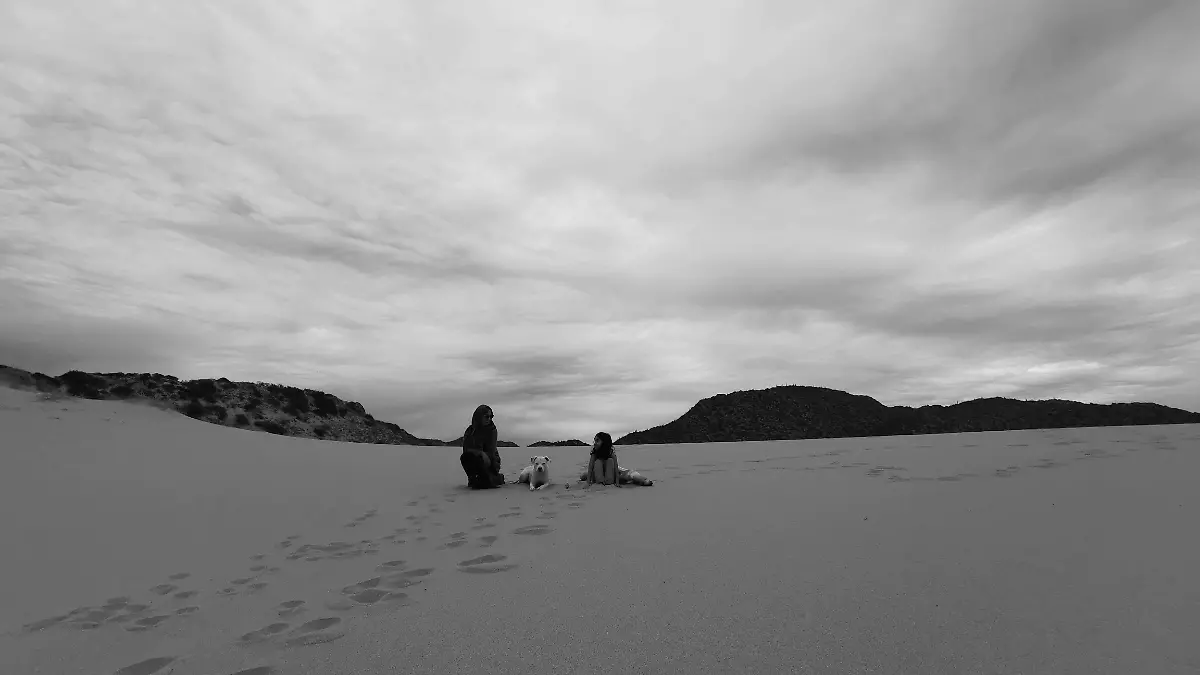 Paréntesis | Somos la cultura