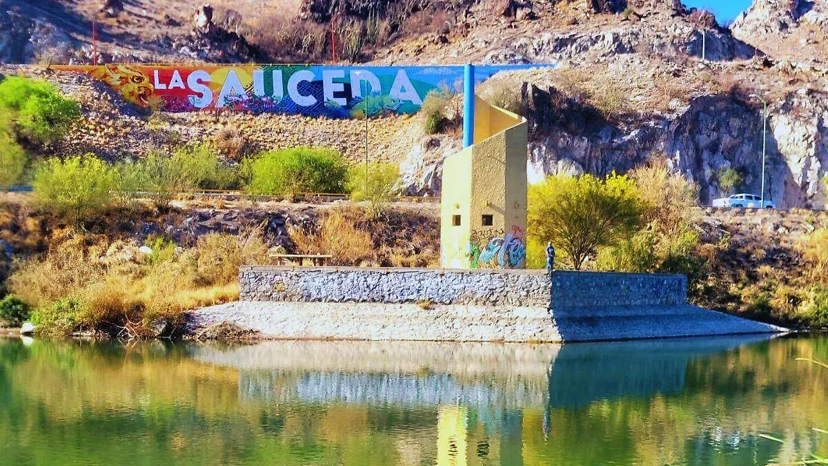 Image_20250329_101349_915