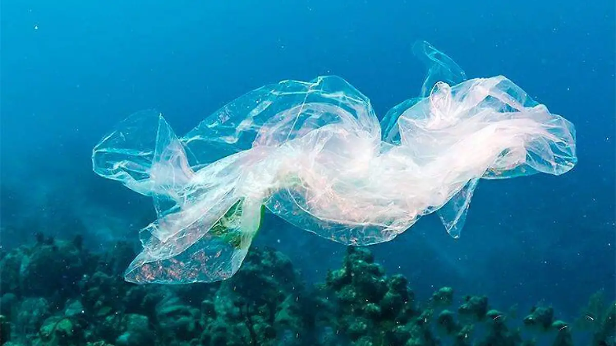plástico en el océano