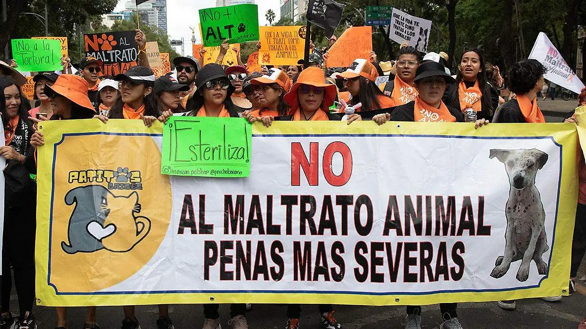 marcha maltrato animal