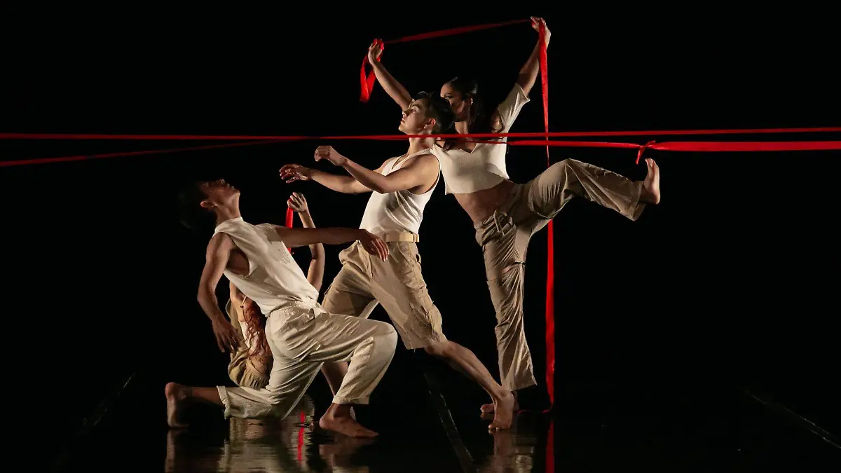 Paréntesis | Somos cucarachas