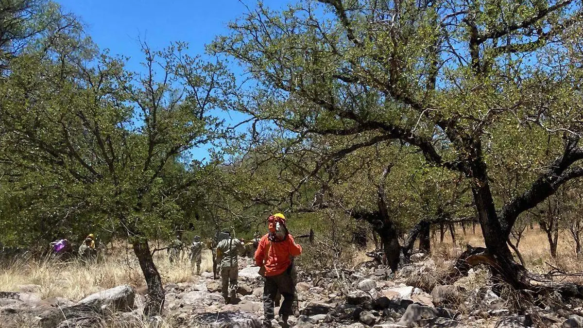 Incendios forestales