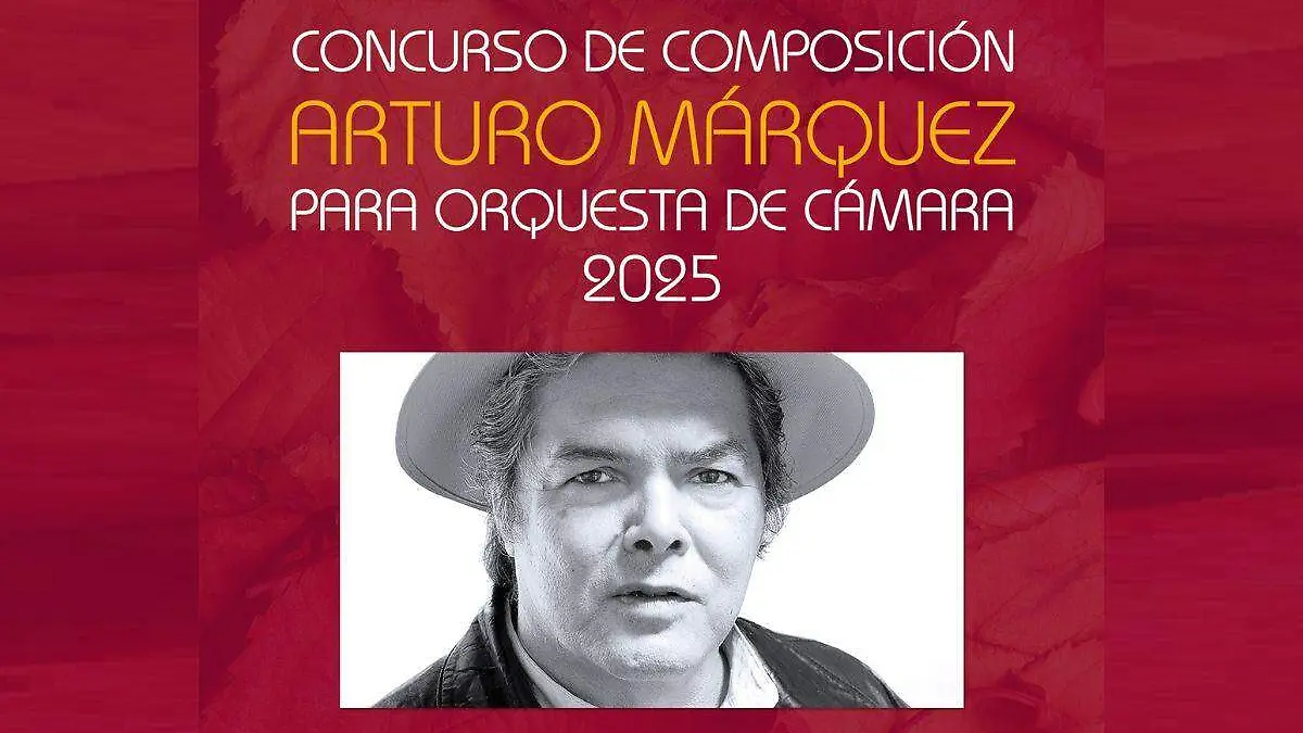 Diseño sin título - 2025-06-04T172543.008