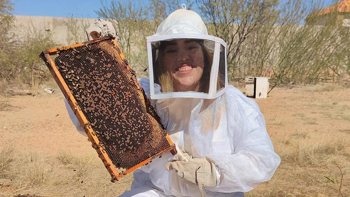 Apicultores en Sonora