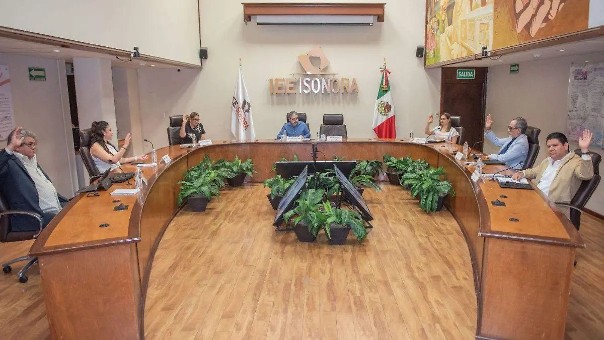 IEE Sonora