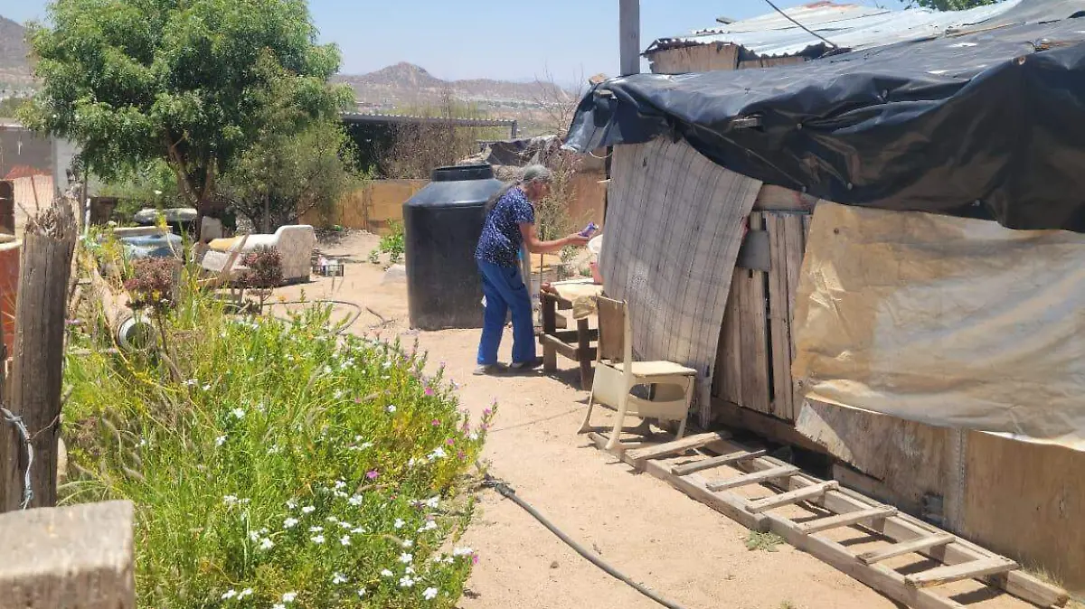 Doña Rosita de casi 70 años, busca trabajo para salir adelante en Hermosillo