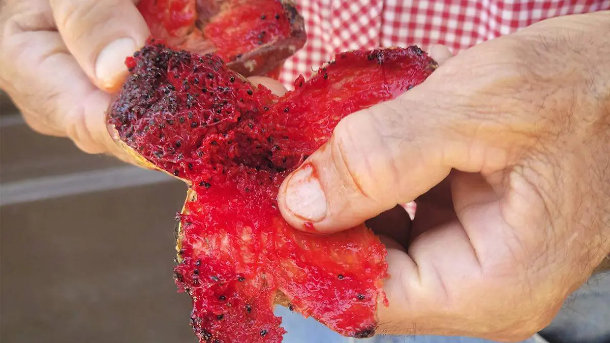 Pitayas mercado Municipal