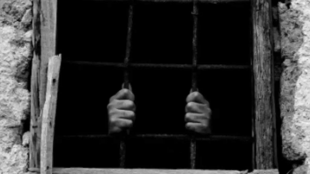 Diseño sin título (6)