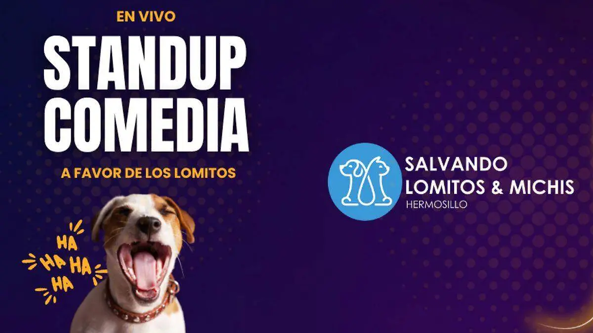 Diseño sin título - 2025-07-14T173357.735