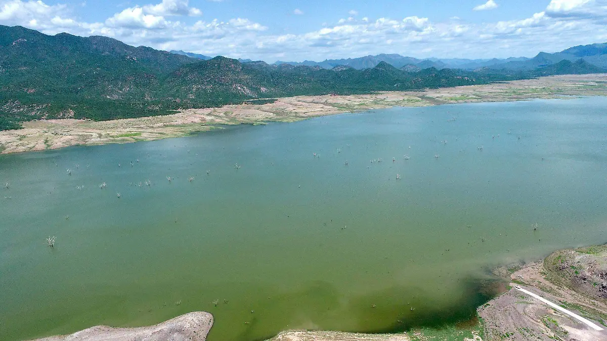Presa El Novillo