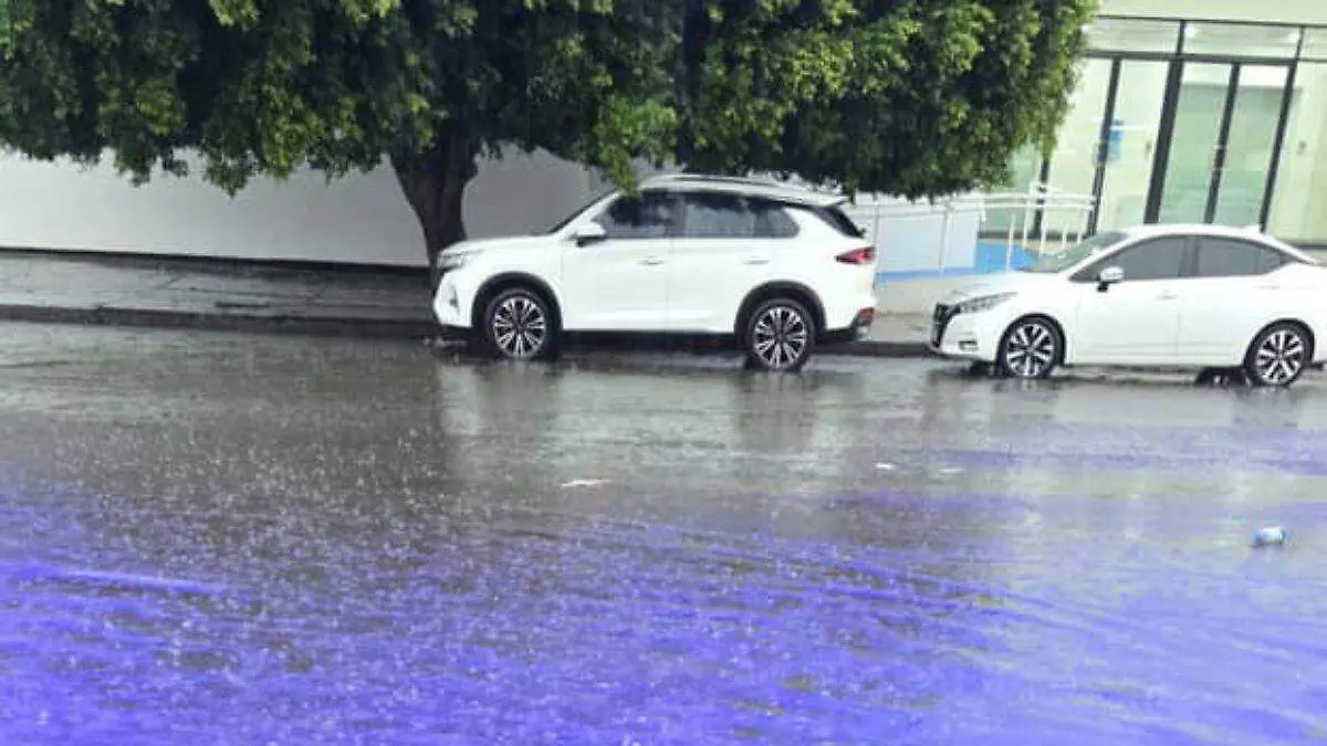 Lluvia obregon