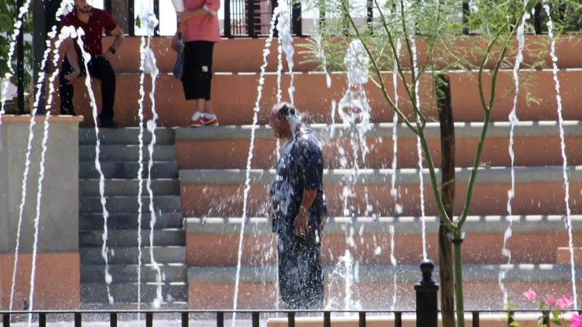 Remojo en la fuente