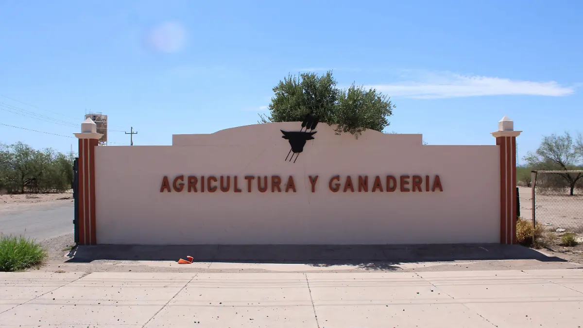 14-08-2025-Universidad de Sonora-Agricultura y Ganaderia-Carlos Villalba (7)