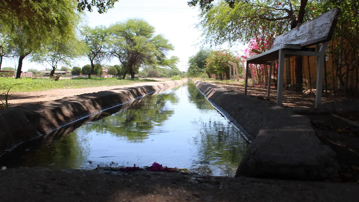 Universidad de Sonora-Agricultura y Ganaderia