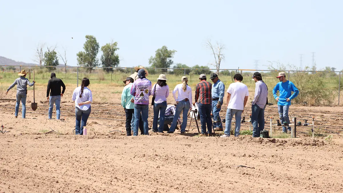 Universidad de Sonora-Agricultura y Ganaderia