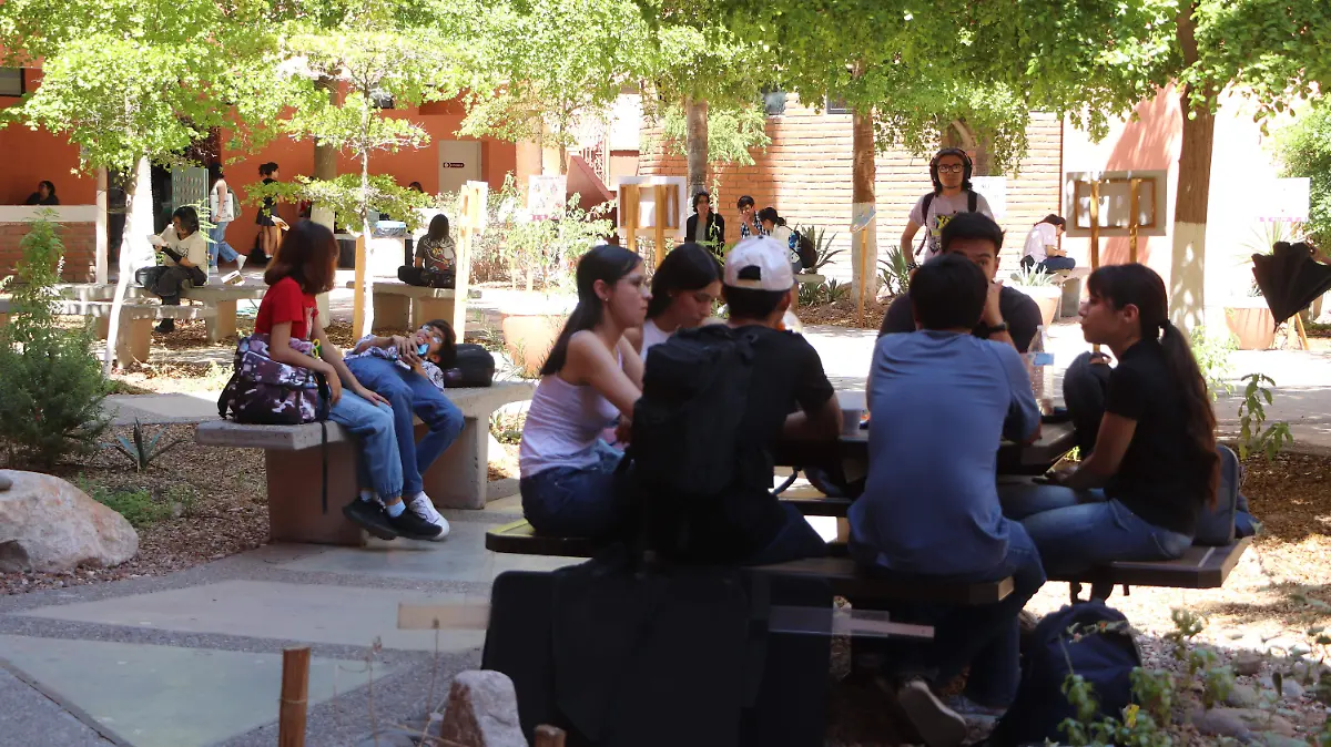 estudiantes unison