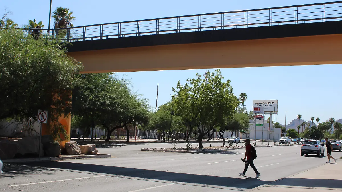 alumnos unison puente1
