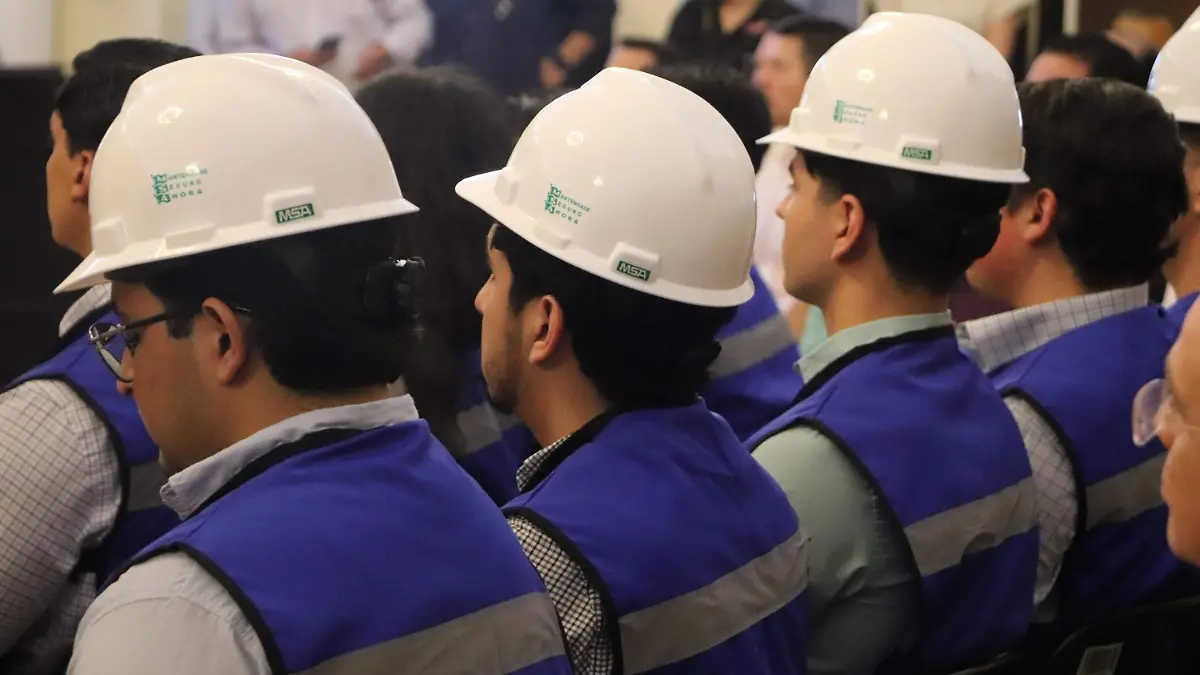 Estancias Académicas en la Industria