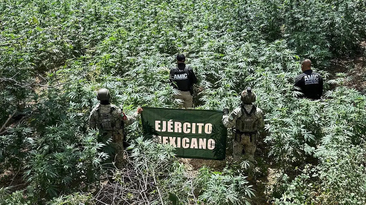 Ejército Mexicano
