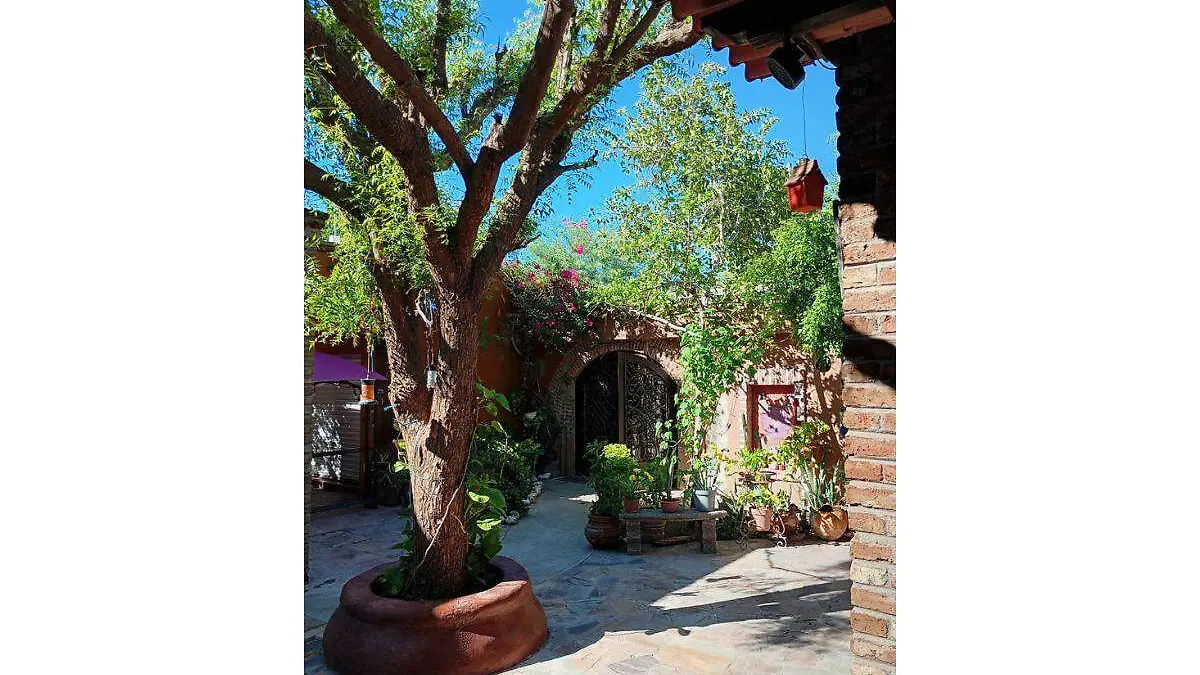 Martha Murguía: el valor de resistir
