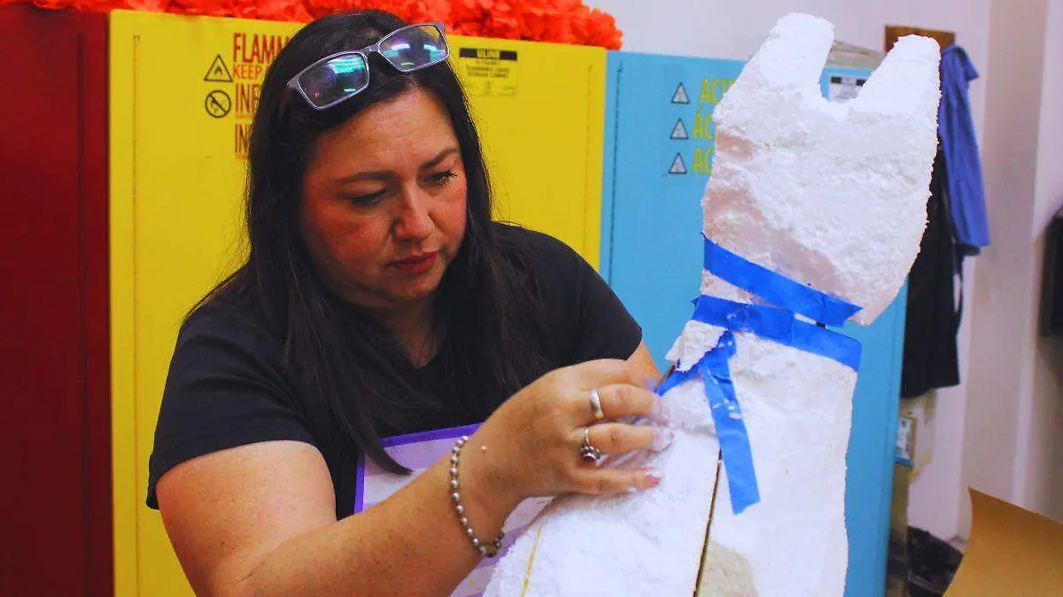 Norma Alicia Villaseñor Fimbres