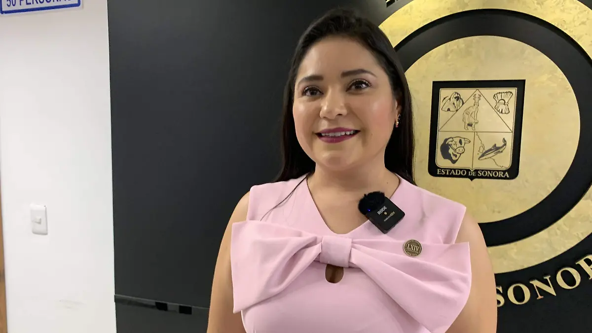 Diputada Deni Gastelum 