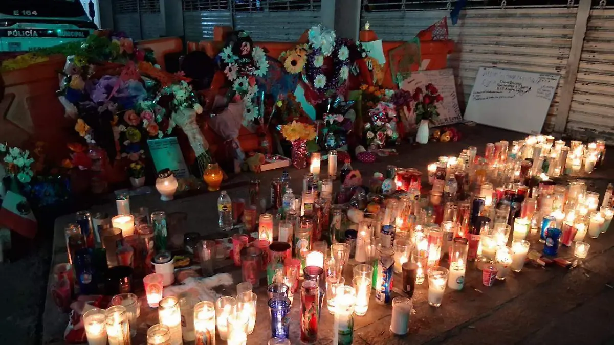 WhatsApp Image 2025-11-14 at 3.50.42 PM