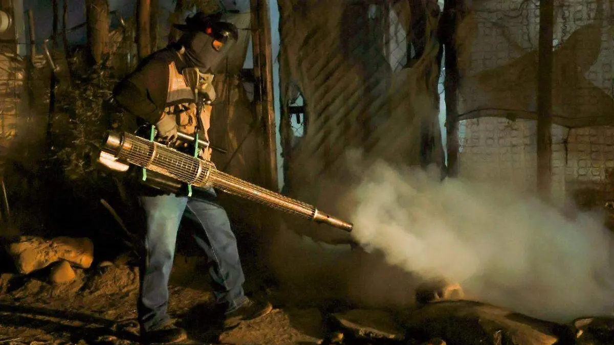 Diseño sin título - 2025-11-16T185009.179