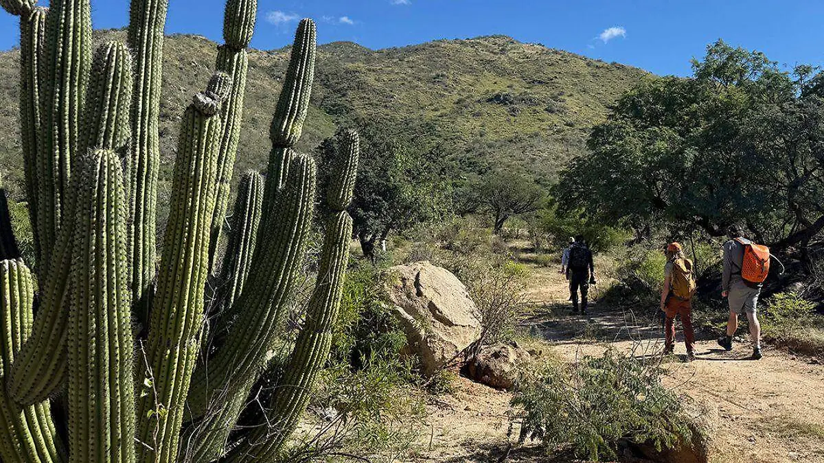 Diseño sin título - 2025-11-18T144248.547