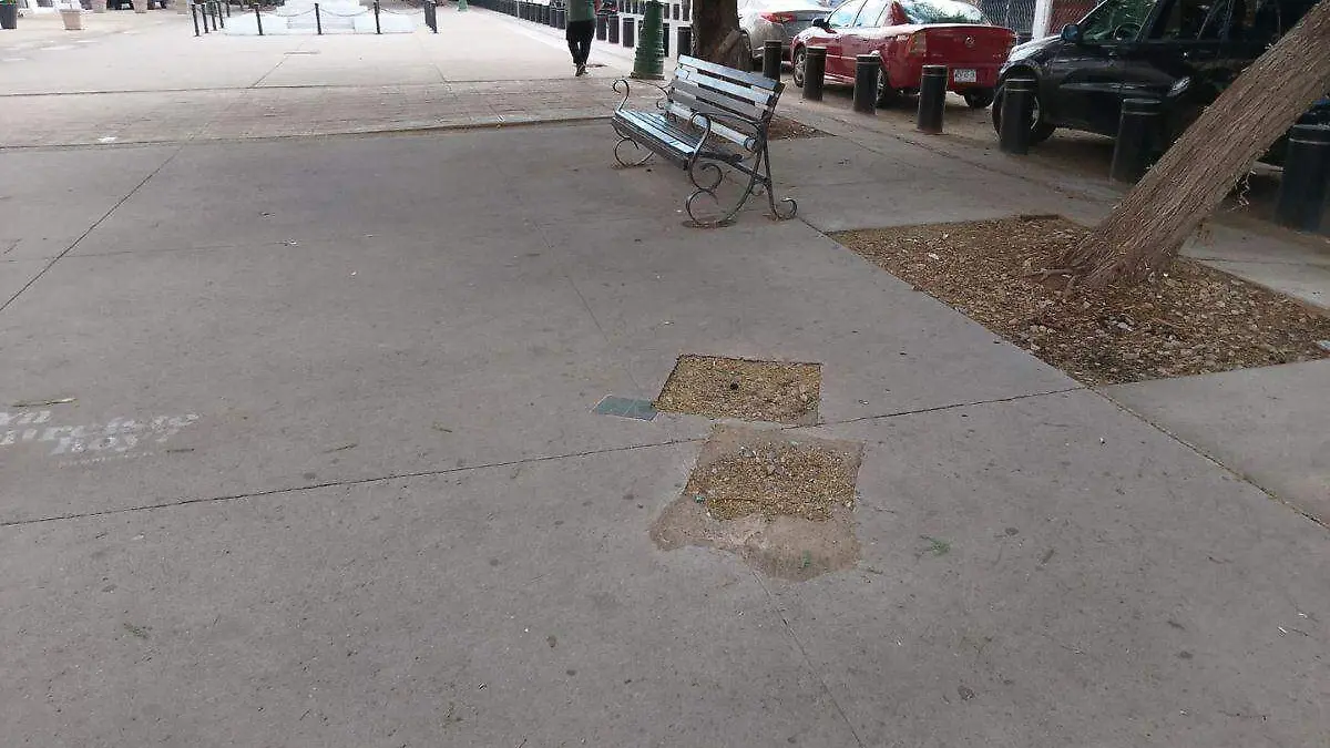 estatuas plaza hidalgo (2)