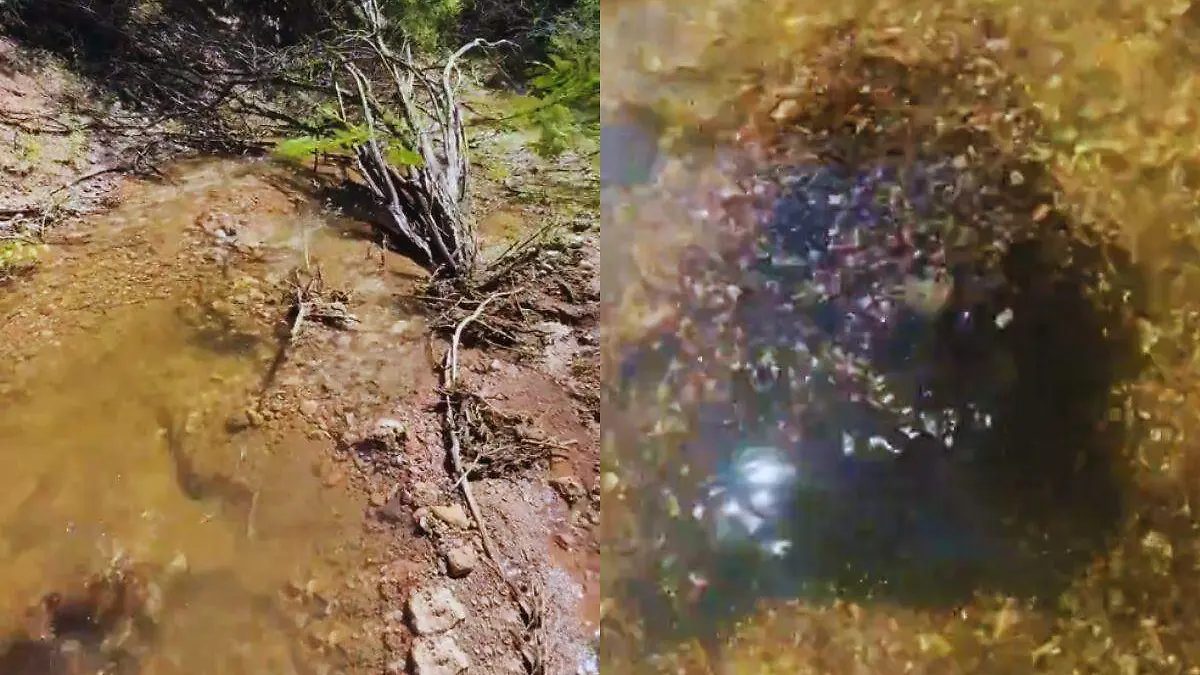 Ojo de Agua San Pedro de la Cueva