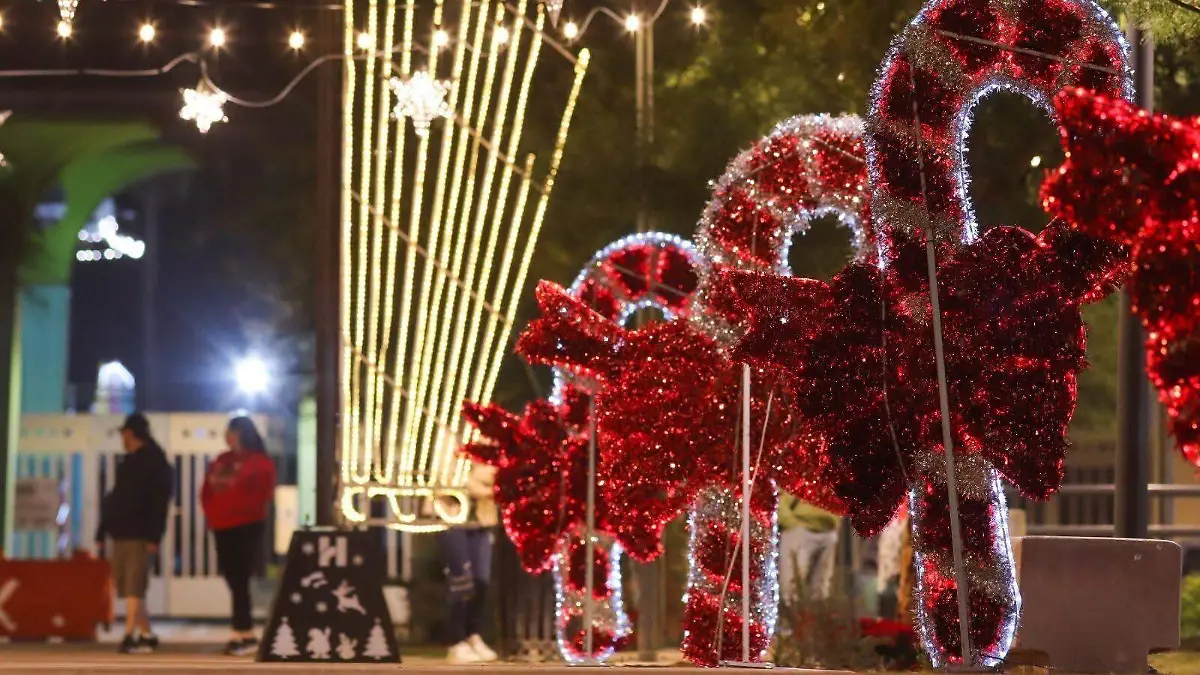 WhatsApp Image 2025-12-22 at 12.19.57