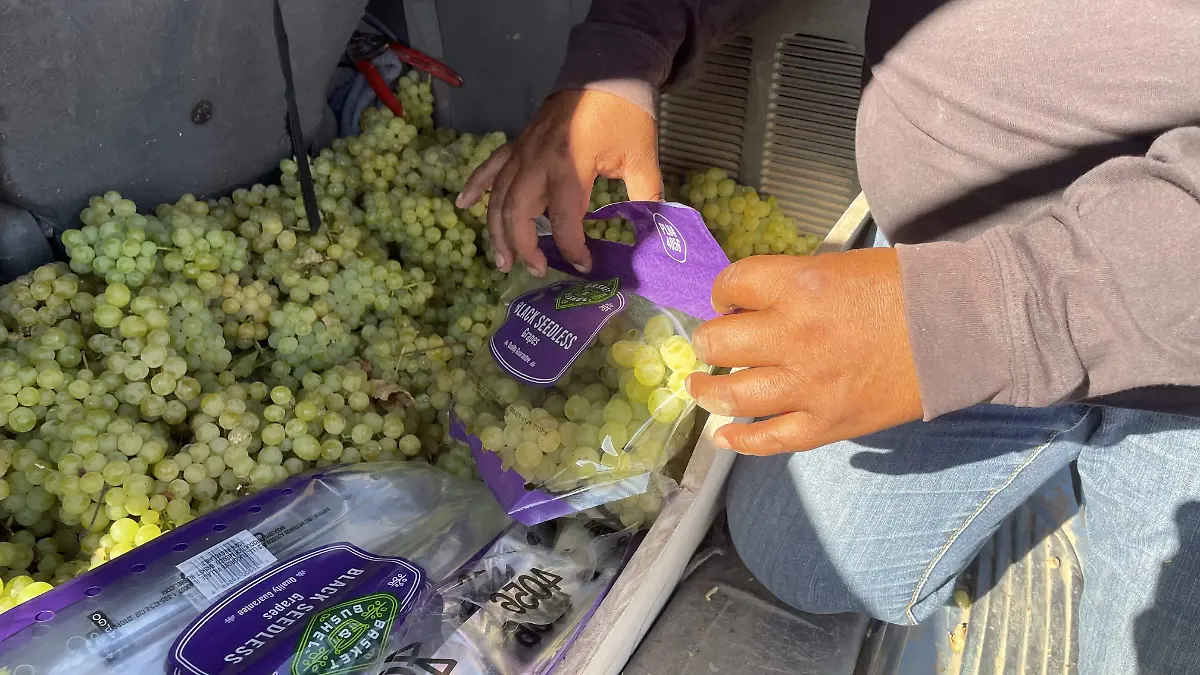 Image_20251222_141802_742