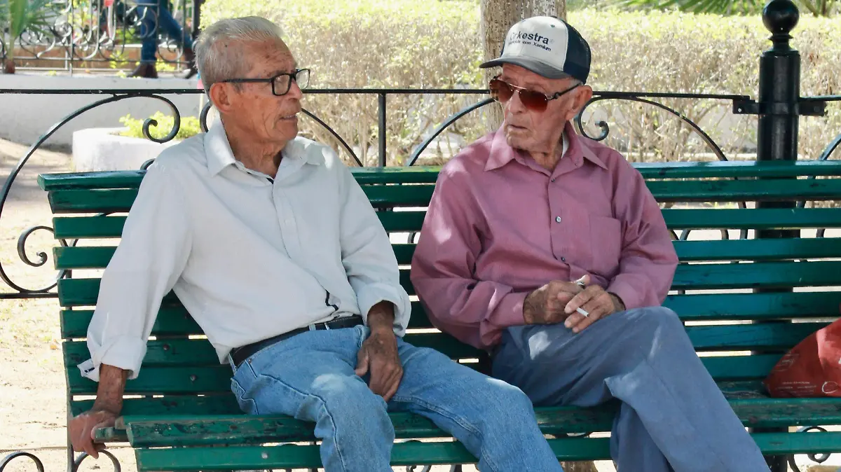 WhatsApp Image 2025-12-23 at 10.30.35