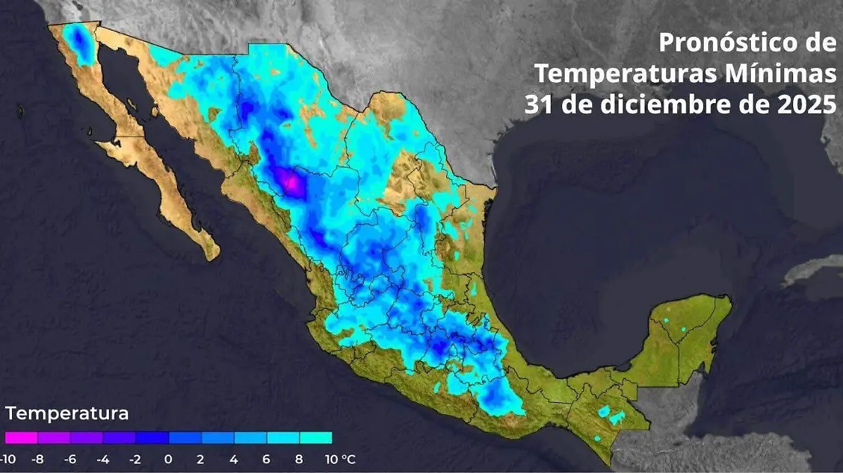 Image_20251231_094612_879