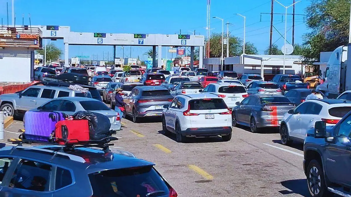 Image_20260103_114534_881