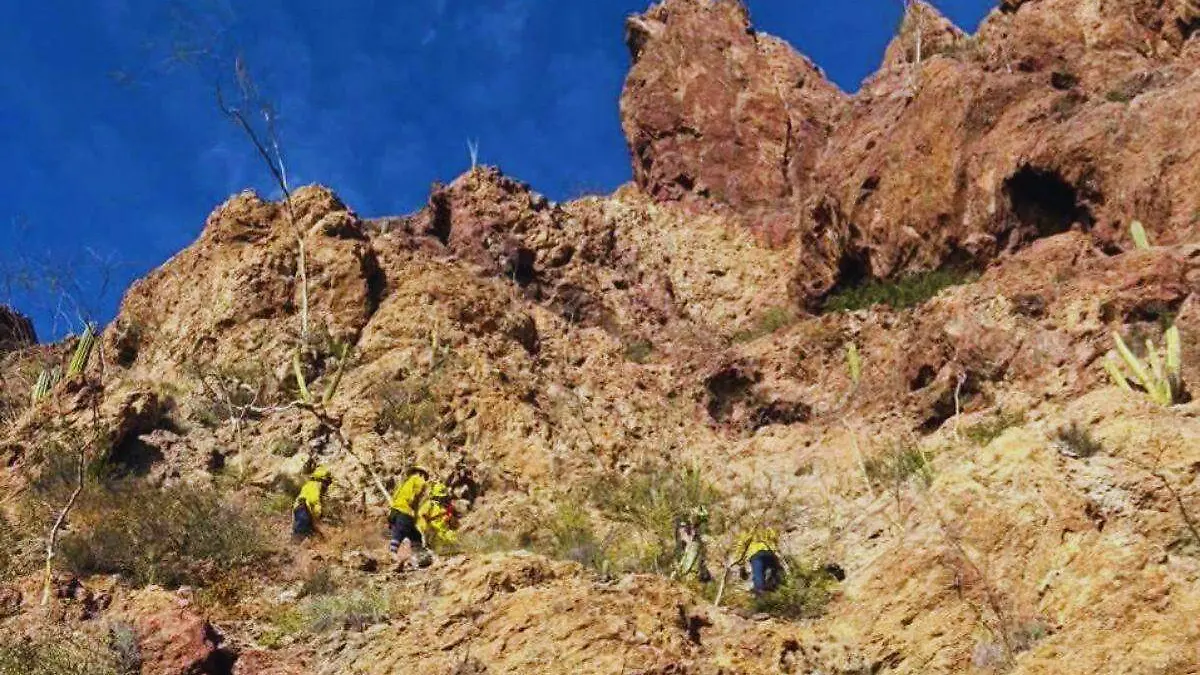 Rescante Tetakawi CDO