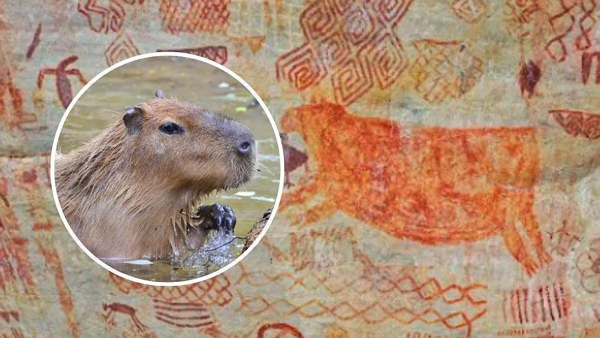 FULL SCREEN _ CAPIBARA 1