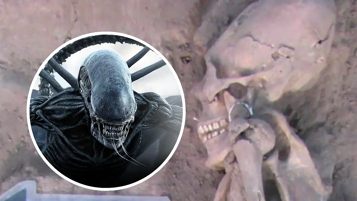 FULL SCREEN _ ALIEN ÓNAVAS