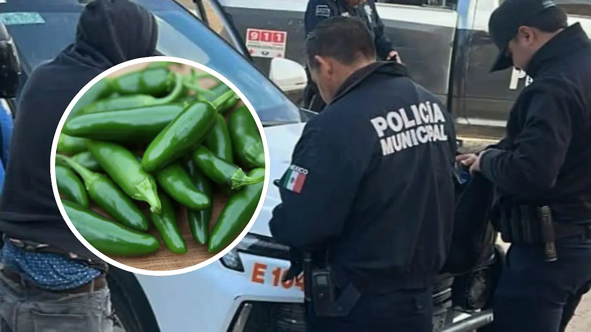 FULL SCREEN  JALAPEÑOS