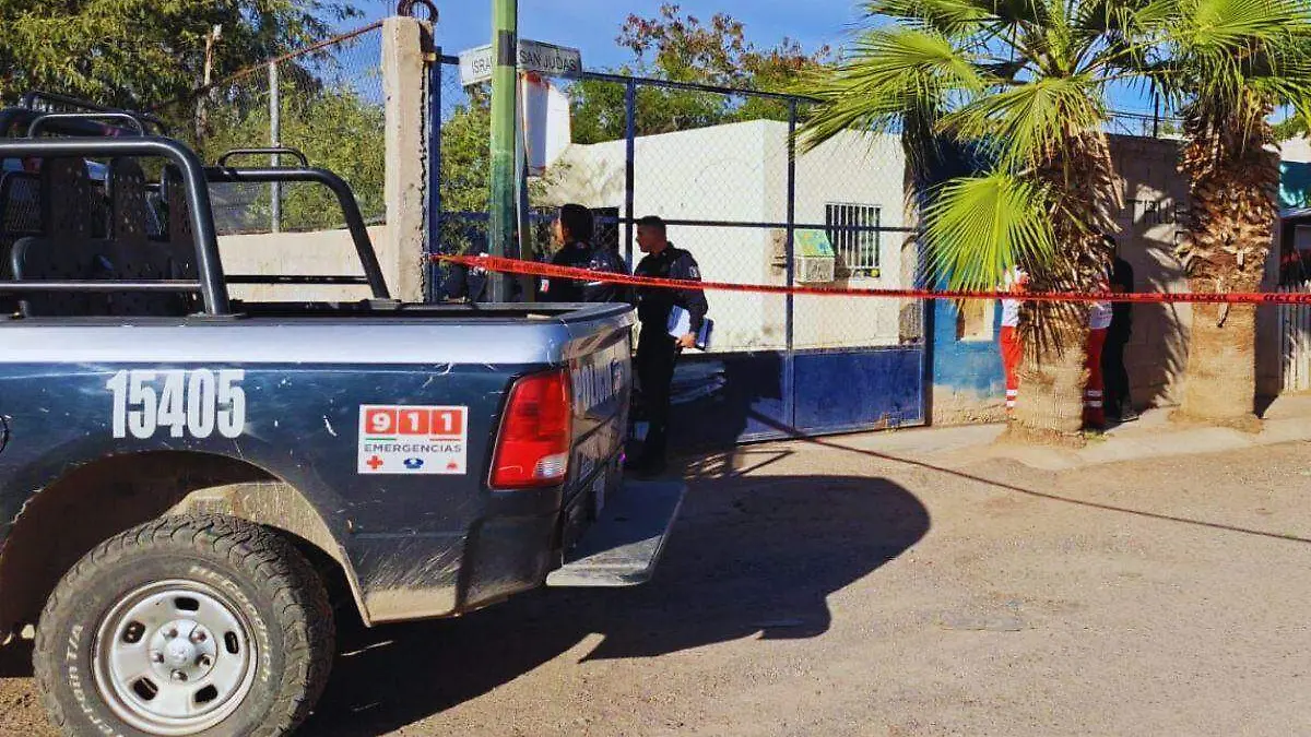 617753208_1396268088539154_6894413084023390677_n