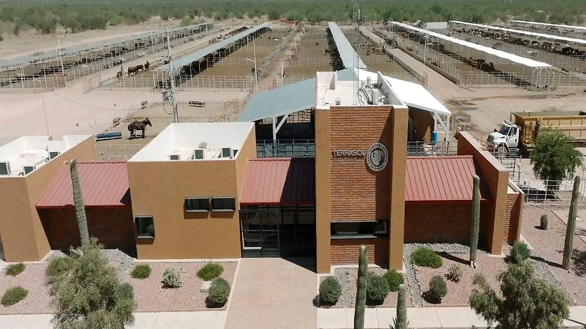 Image_20260126_170034_038