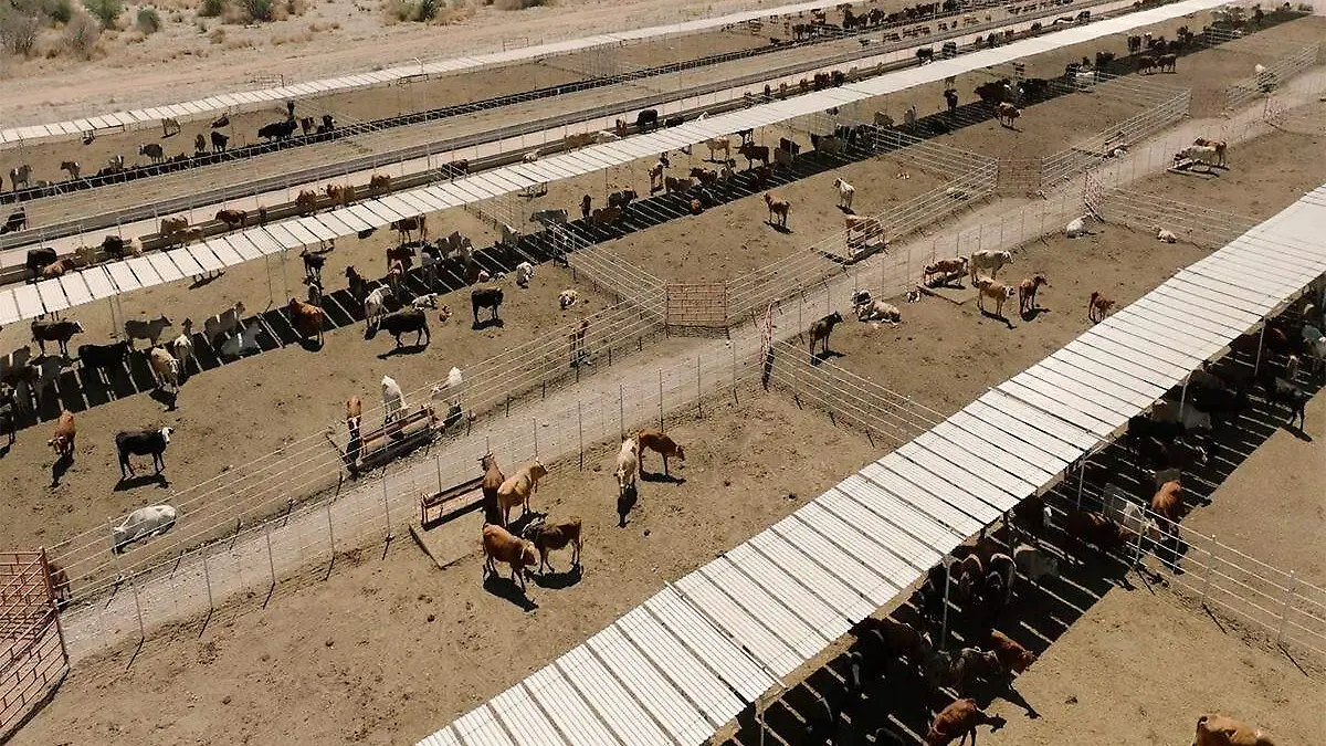 Parque Ganadero Industrial