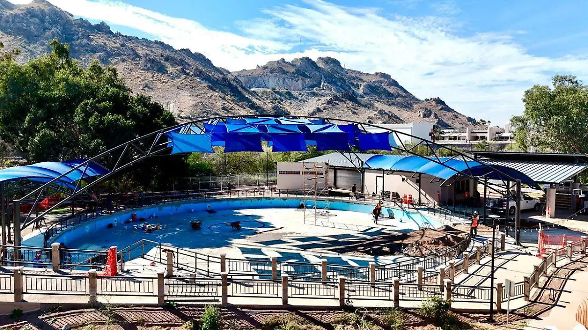 624248345_1364918145681424_2595826436437521331_n