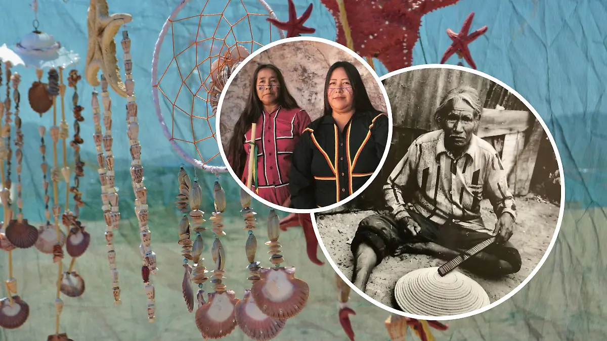 FULL SCREEN  DAVID BURCKHALTER