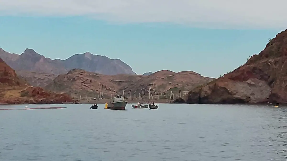 WhatsApp Image 2026-02-01 at 10.36.06 AM